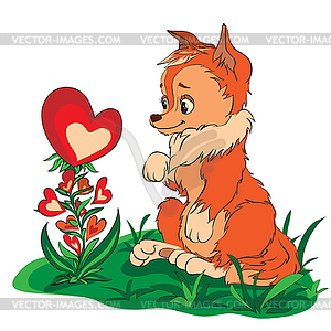 Fox in clearing looking at flower - vector clip art