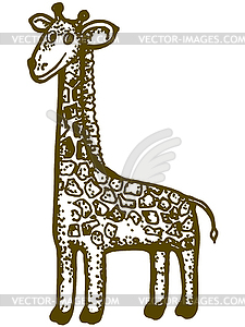 Giraffe - vector image