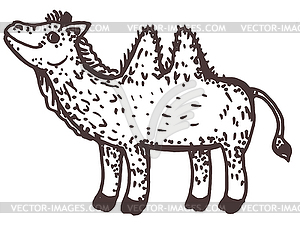 Camel - vector image