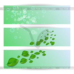 Elegant template for greeting card, invitation - vector image