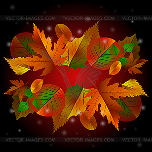 Autumn background with leaves - vector image