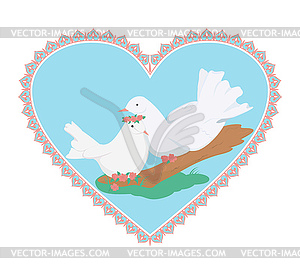 Couple sweety white doves - vector image