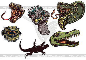 Designious vector reptiles  - vector image