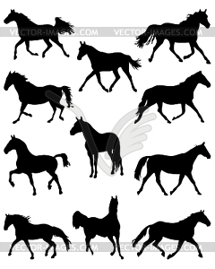 Horses - white & black vector clipart