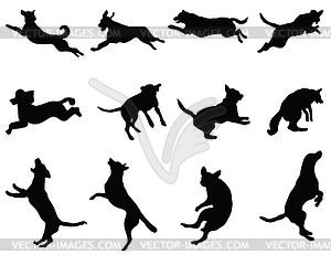 Dogs - vector EPS clipart