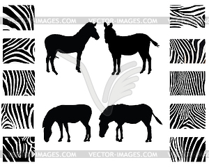 Zebra  - vector image