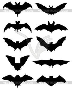 Bats - vector clipart