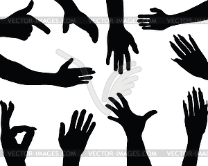 Hands - vector image