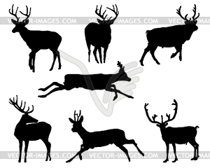 Deers - vector clipart