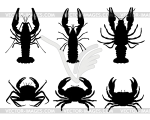 Crawfish and crab - vector image