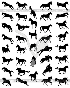 Horses - vector clip art