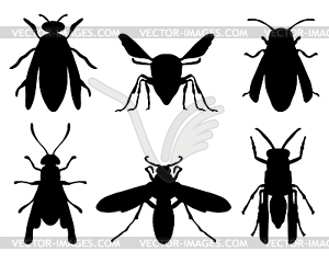 Wasps - vector image