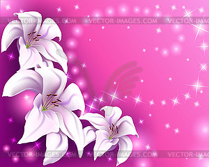 Beautiful pink background with white lilies - vector image