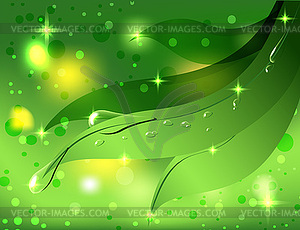 Beautiful green background with leaves and dew drops - vector image