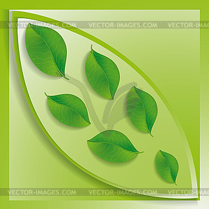 Green leaves inside the big one. - vector image