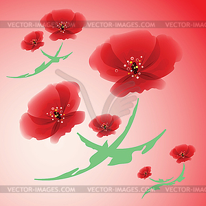 Poppy flowers. - vector image