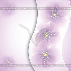 Pansy flowers. - vector image