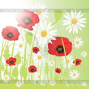 Colorful flowers on the meadow. - vector clipart