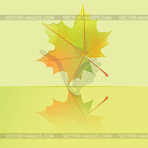 Осень мокрый кленовый лист. - стоковое векторное изображение