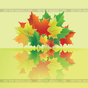 Autumn wet maple leaves. - vector clipart