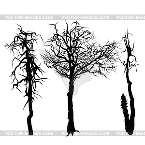 Trees isolated on white background. - vector EPS clipart