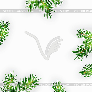 Pine tree branches .  - vector image