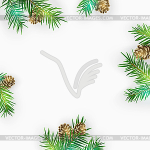 Pine tree branches .  - vector EPS clipart