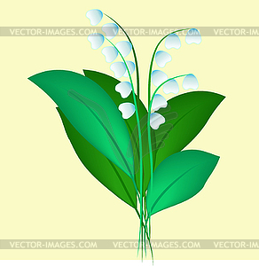 Lilies of the valley - vector clipart