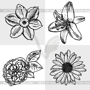 Lily, daisy and rose, narcissus sketch, seamless - vector image