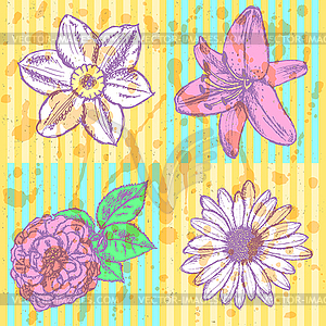 Lily, daisy and rose, narcissus sketch, seamless - vector clipart