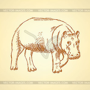 Sketch hippo, vintage background - vector clip art