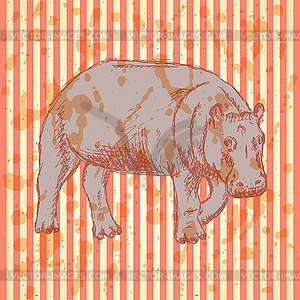 Sketch hippo, vintage background - vector clipart