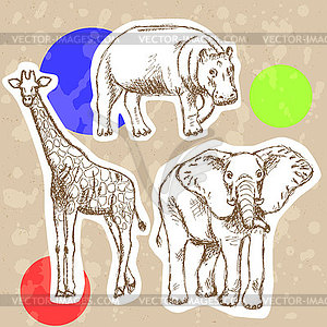 Sketch elephant, giraffe and hippo, background - vector image