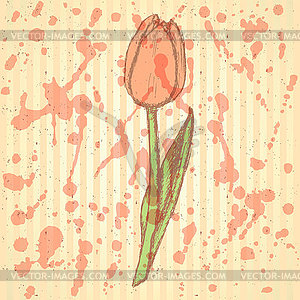 Sketch tulip, vintage background - vector image