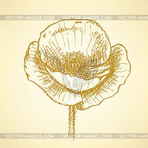 Sketch poppy, vintage background - vector clip art