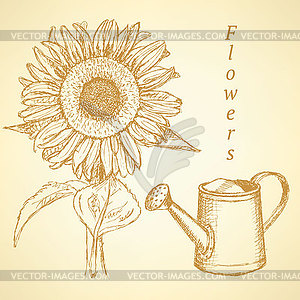 Sketch sunflower and watering can, background - stock vector clipart