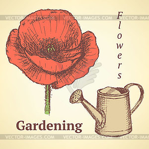 Sketch poppy and watering can, background - vector clipart