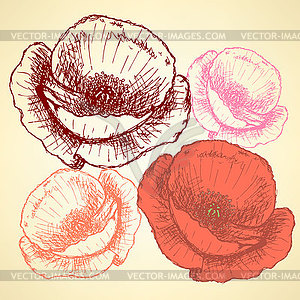 Sketch poppy, vintage background - vector image