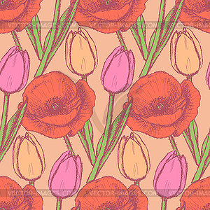 Эскиз тюльпан и мака - клипарт в векторном виде
