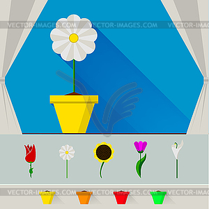 Illustration of flowers - vector clipart