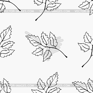 Pattern of contours of leaves - vector clipart