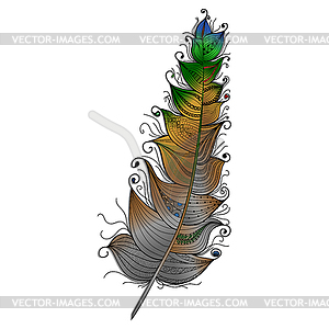 Multi-colored feather - vector clip art