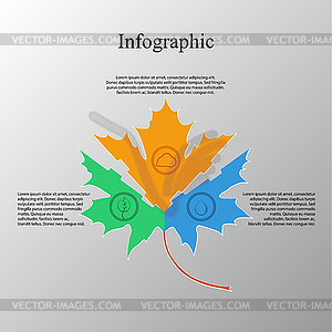 Инфографики в виде кленового листа стиле плоской - цветной векторный клипарт
