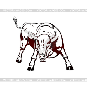 Bull - vector image