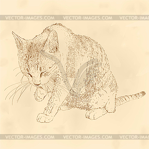 Cat grooming herself - vector clip art