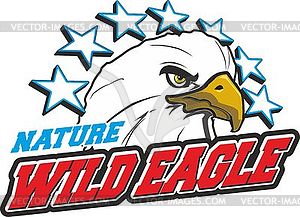 Wild Eagle - color vector clipart