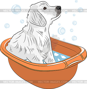 Puppy labrador retriever - vector EPS clipart