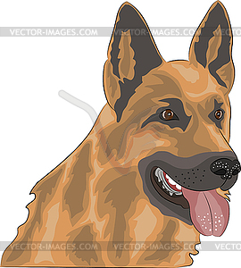 Shepherd - vector clip art