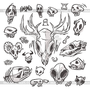 Diverse Skulls and Bones Set - vector clip art