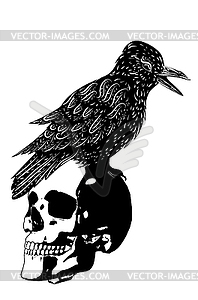 Grunge human skull with raven - vector clipart